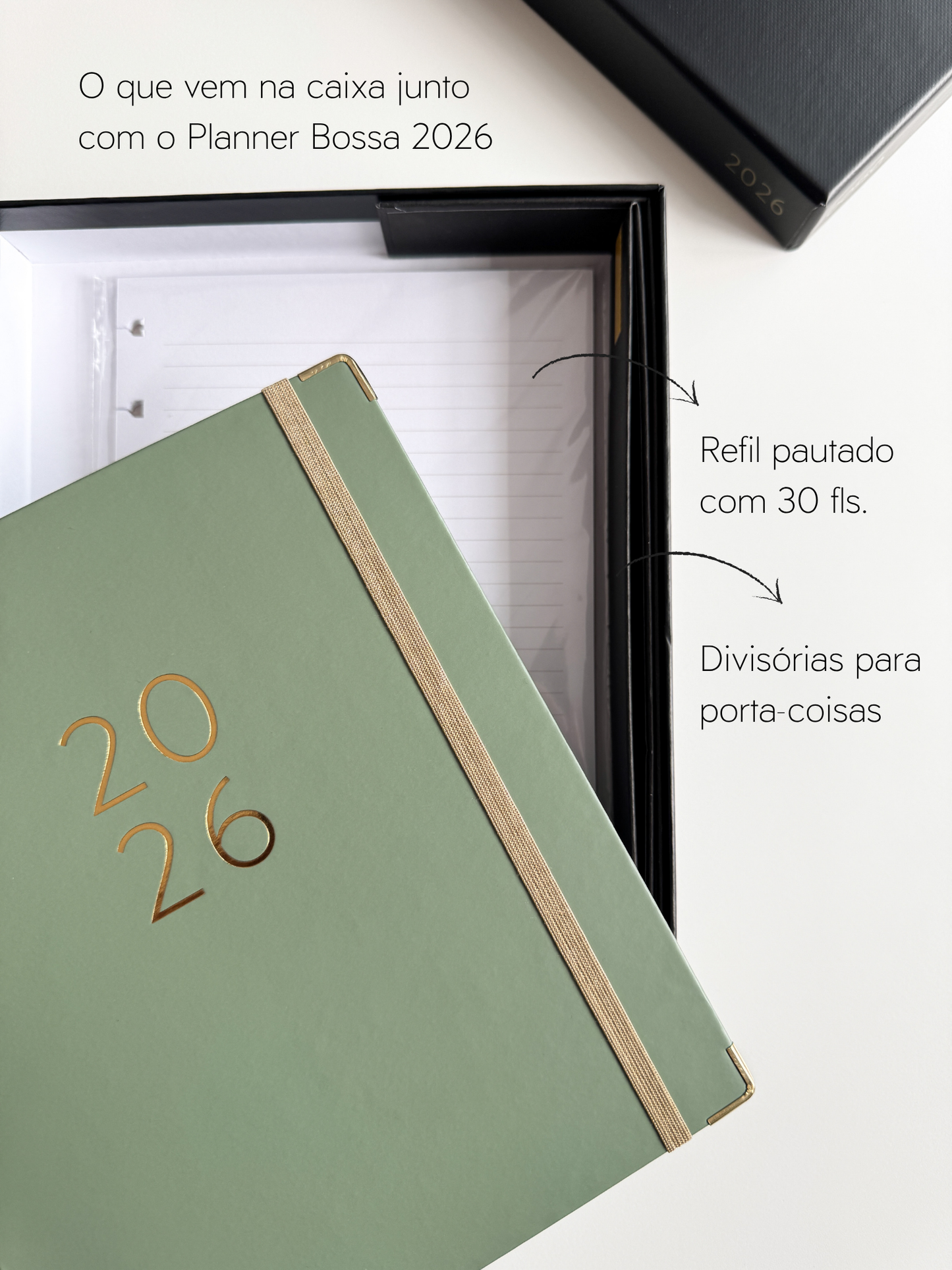 PLANNER OLIVE