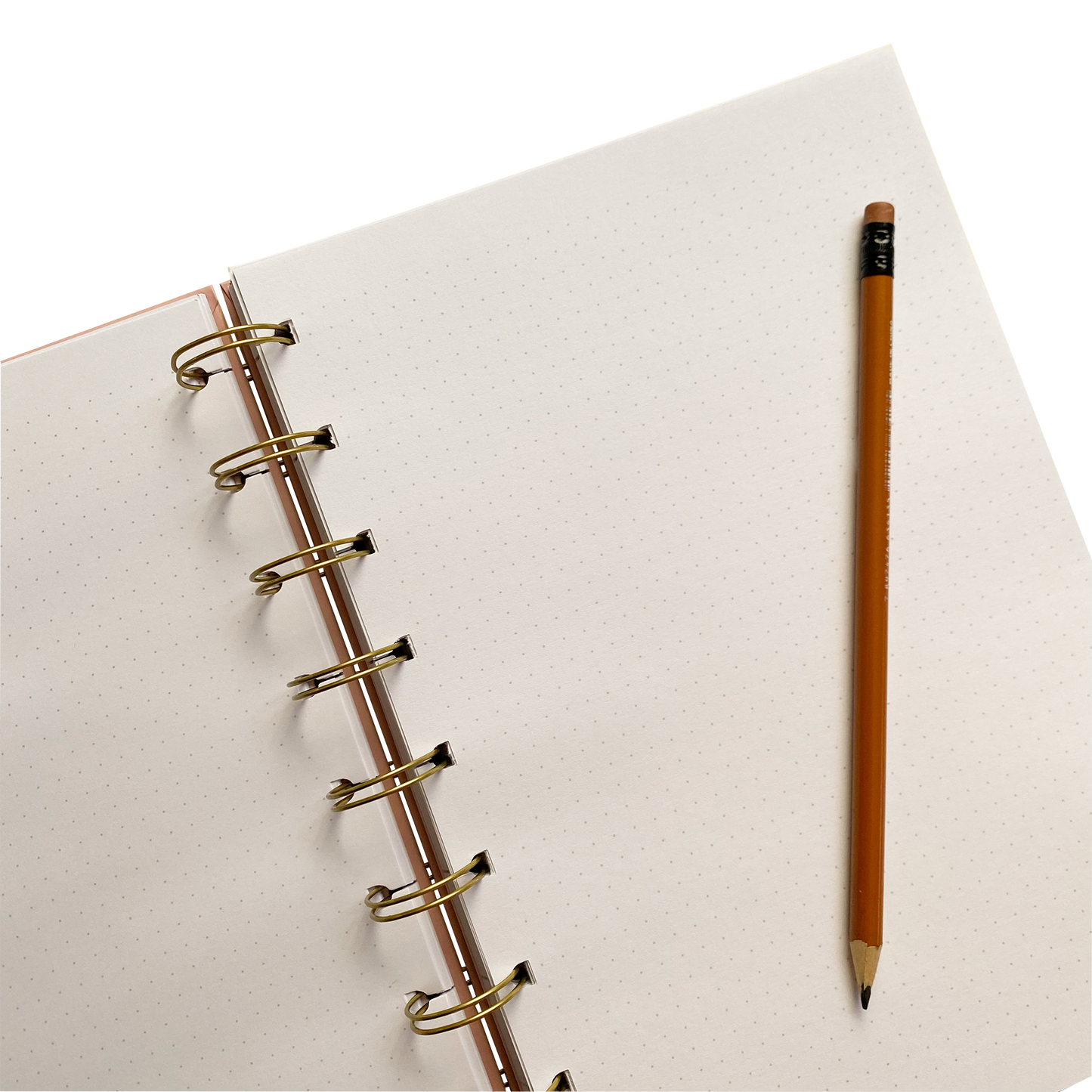 REFIL PONTILHADO CADERNO